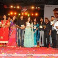 Panja Audio Release - Pictures | Picture 128459